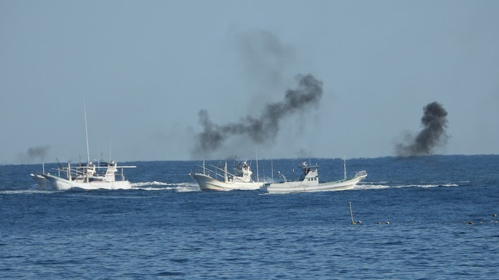 イルカ漁 黒煙を吹くイルカ漁船