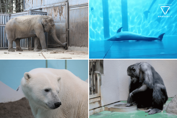 日本中の動物園・水族館で動物が苦しんでいる