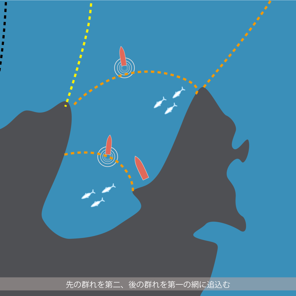 説明図　最初のイルカたちを第二の網、後のイルカたちを第一の網に追い込む