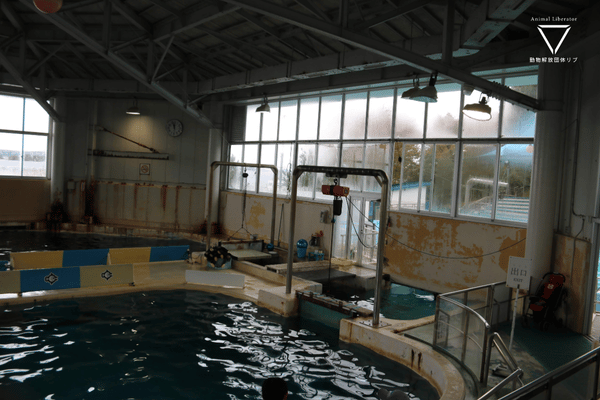 のとじま水族館-トレーニングセンター