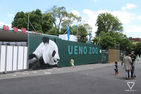 上野動物園-パンダで客寄せ