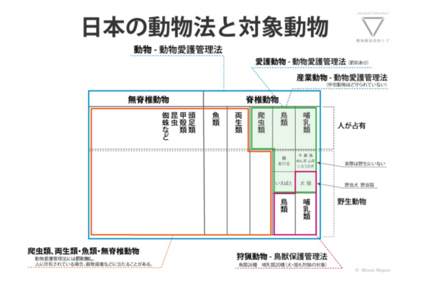 日本の動物法と対象動物