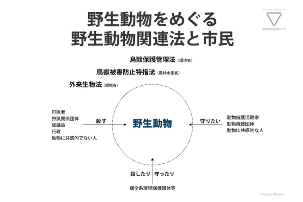 野生動物をめぐる野生動物関連法と市民