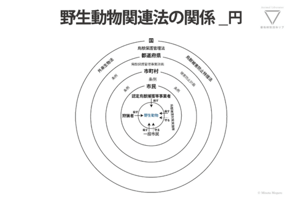 野生動物関連法の関係_円