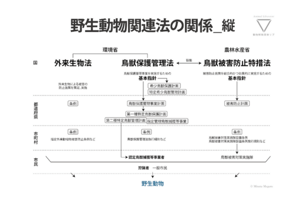 野生動物関連法の関係_縦