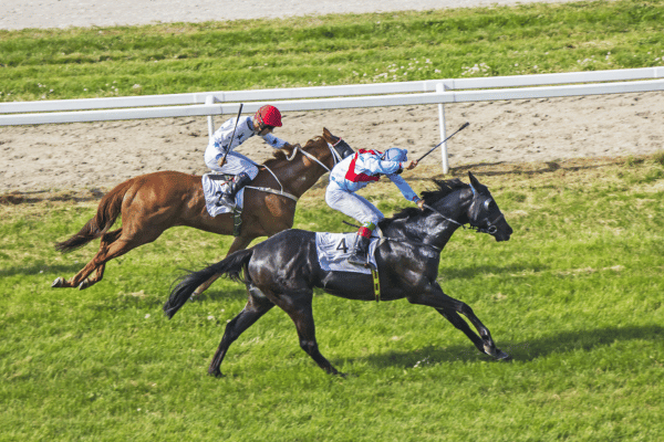 鞭で叩かれる競走馬たち