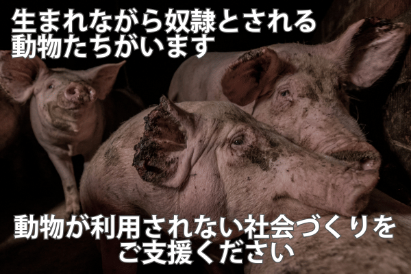 トップ画像