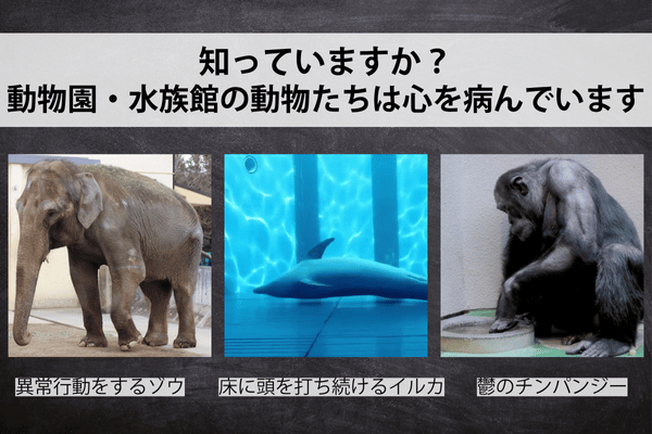 知っていますか？ 動物園・水族館の動物たちは心を病んでいます