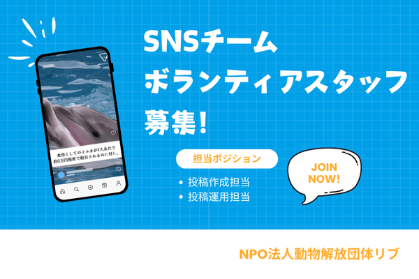 SNSチーム ボランティアスタッフ 募集！記事サムネイル (2)