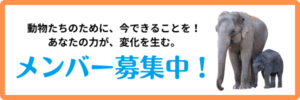 メンバー募集中！バナー