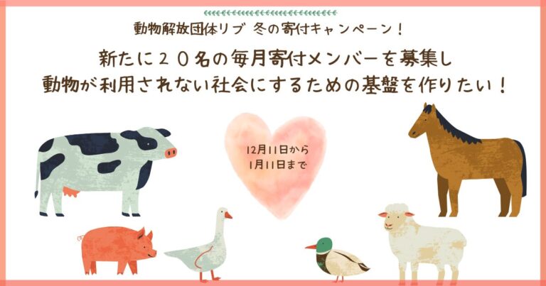 動物解放団体リブ 2025冬の寄付キャンペーン！