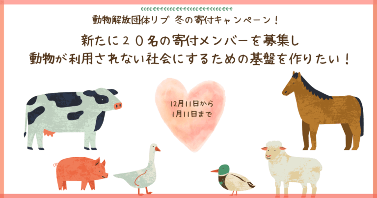 動物解放団体リブ 2025冬の寄付キャンペーン！