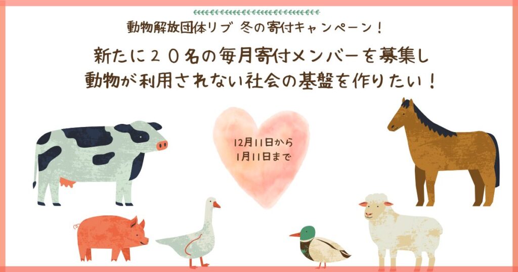 動物解放団体リブ 2025冬の寄付キャンペーン！